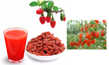 Pure Authentic Dried Goji Berry