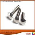 brightfast high quality carriage bolts