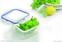 Injection Plastic Crisper Mold  Home Appliance Mould  Plast