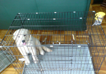 Pet Breeding Cage