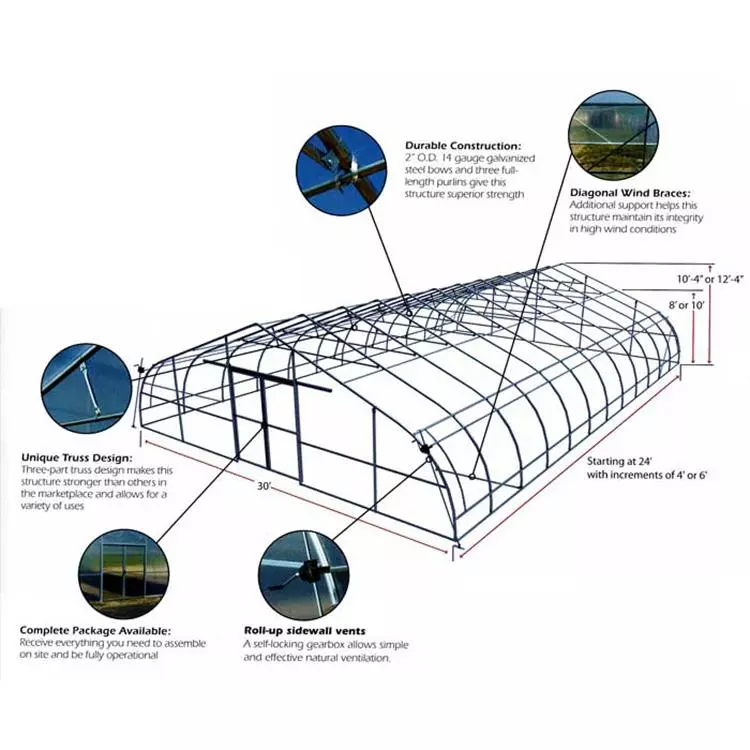 Multi Lanc Plastic Film Greenhouse Tomato Greenhouse