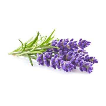 Aceite esencial de lavanda OEM