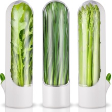 2024 Trends: 300ml Transparent Herb and Spice Storage Containers with Freshness Keeper for Refrigerator