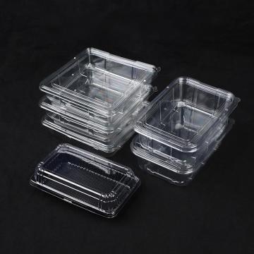 Square biscuit baking boxes