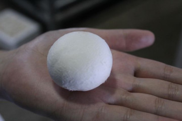 Fresh white button mushroom / Champignon Mushroom cultivation