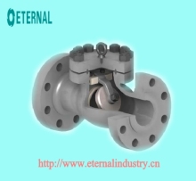 Swing Type Bolted Bonnet