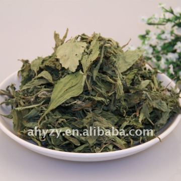 Stevia Rebaudiana Bertoni(Tianyeju)