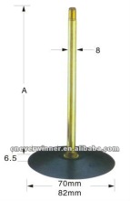 automotive valve TR464, shraeder valve,valve stems,tire valves