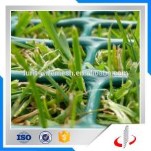 Thick Plastic Grass Protection Mesh