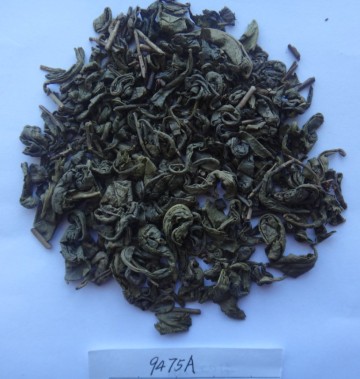 China wholesale green tea gunpowder tea 9475
