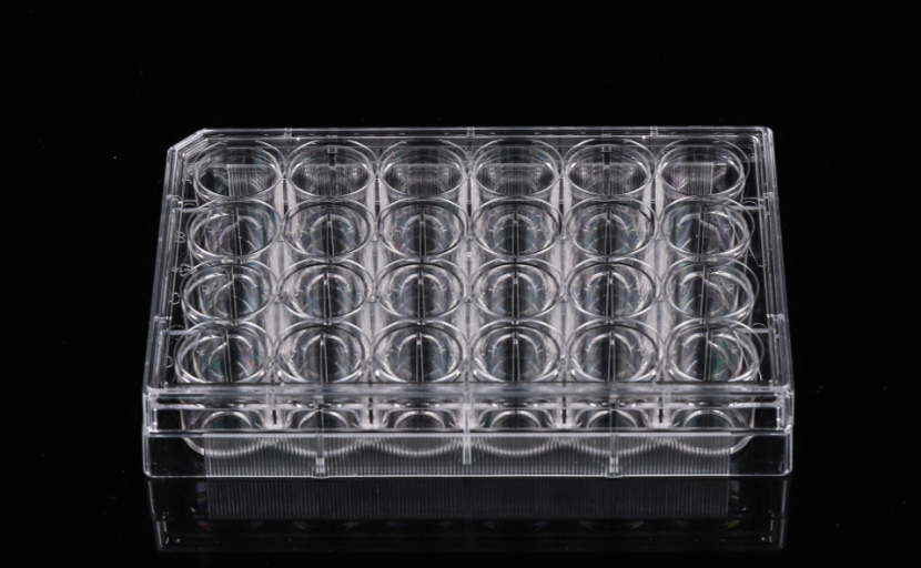 24 Well Glass Bottom Cell Culture Plates