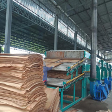 continous roller birch veneer dryers