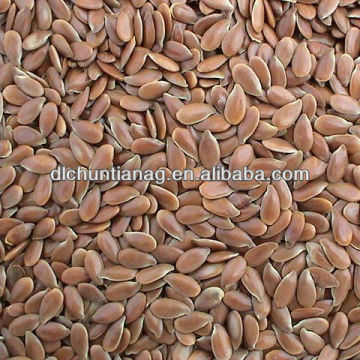 flaxseed of Chinese herb