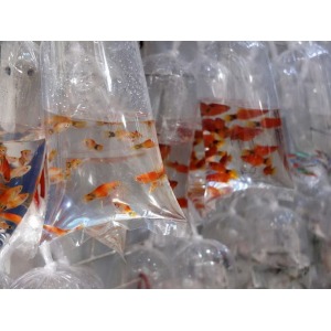 Flat Clear Recycling Shopping Plastic Courier Bottom Freezer Bags