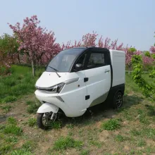 Luxury Electric Tricycle Mini Van Truck for Logistics