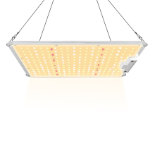 Followers Led Growing Light Factory