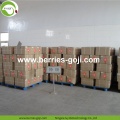 Factory Wholesale New Harvest Fruit Products Wolfberries