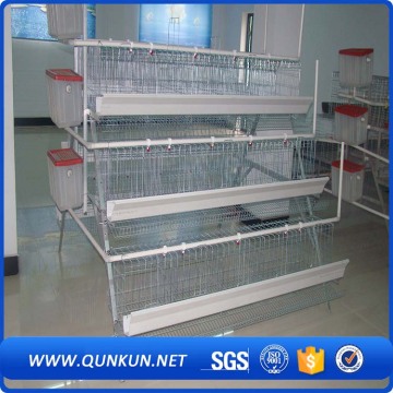 120 Birds  Layer Cage