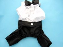 Customized White Black Boy Pet Terrier Dog Formal Wear For Wedding Party