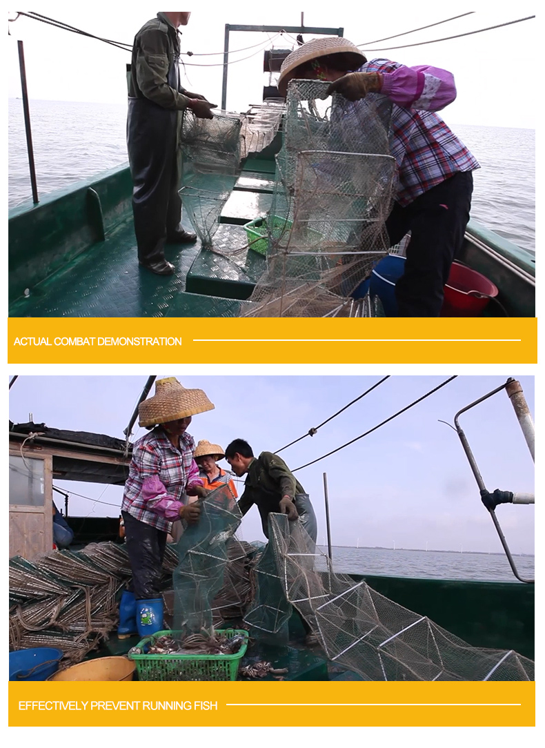 Professional Factory Folding Lobster Crayfish Foldable Fish Trap In Warehouse Price