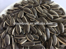 Raw sunflower seed,black sunflower seed ,sunflower seed 5009