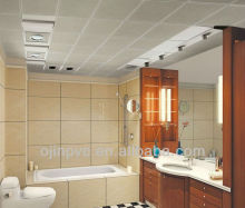 20cm*6mm Mauritius Suspended pvc ceilings and pvc wall panels