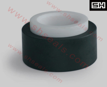 APV pump seals SH A292