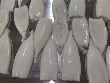 high quality seafood frozen squid tubes