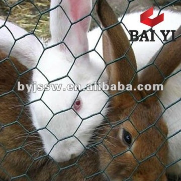 high quality hexagonal wire netting/rabbit netting/poultry wire netting