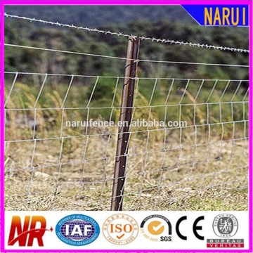 Wire Mesh Farm Fencing