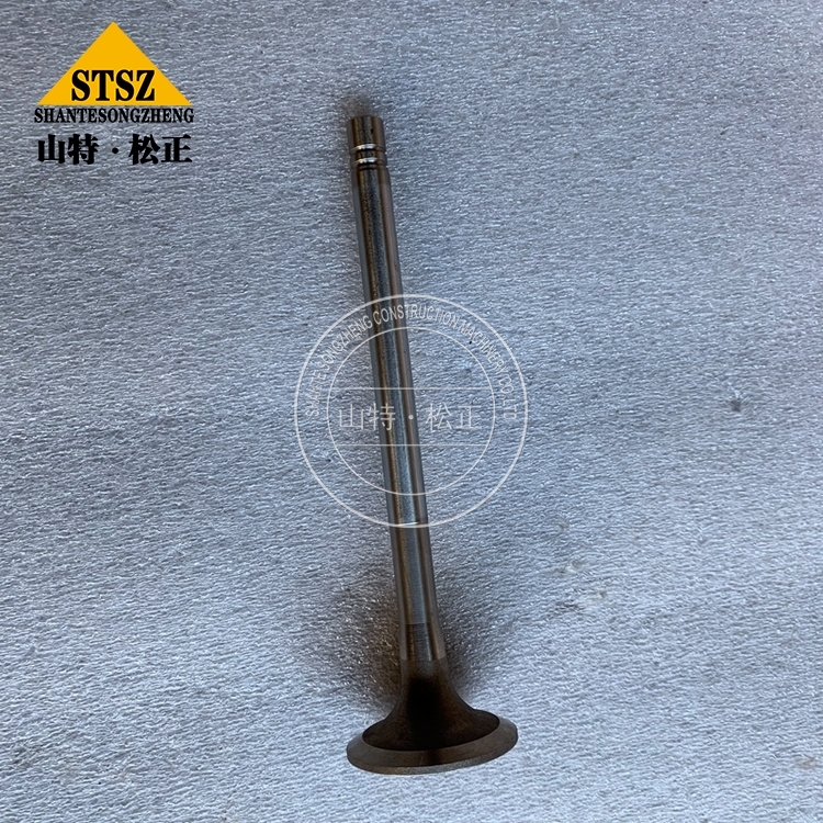 3803512 4 Jpg 3803512 4 Jpg