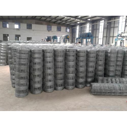 animal protection wire mesh