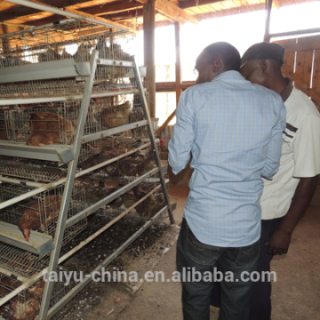 Abuja and Nairobi office poultry control shed farm equipments farm