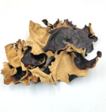 buy cheap Black Fungus With White Back