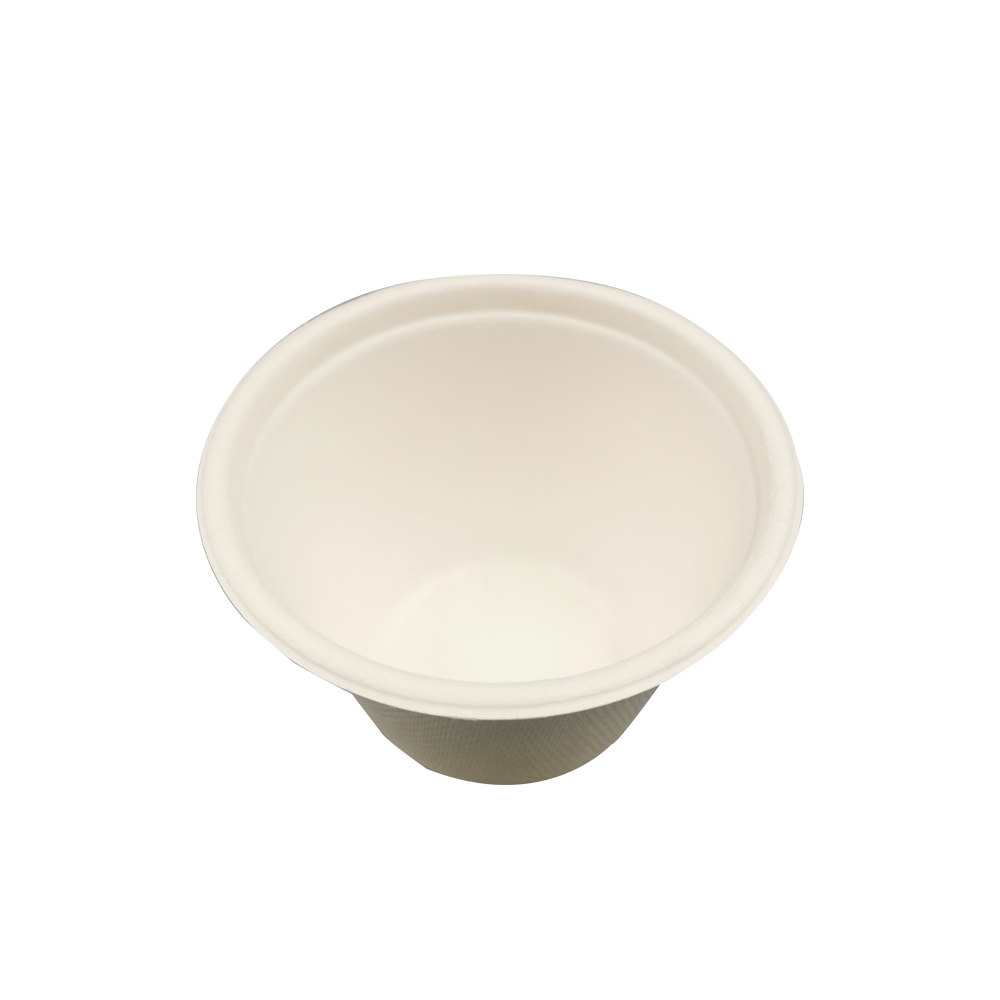 bagasse cup