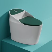 Floor-Mounted One Piece Toilet Set - White with Green