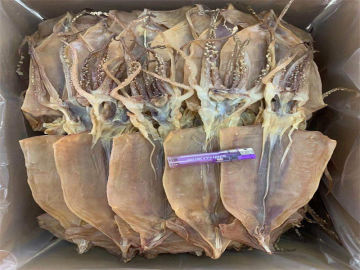 Versatile Illex Squid Products