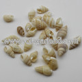 Cuentas de concha de cowry natural de 13-23 MM para decoración de bodas