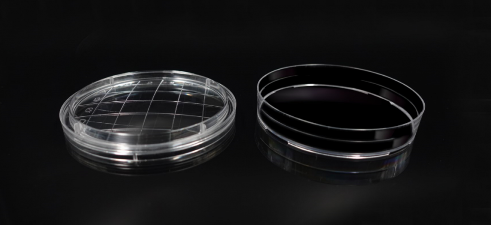 65 mm -es rodac Petri -edények steril