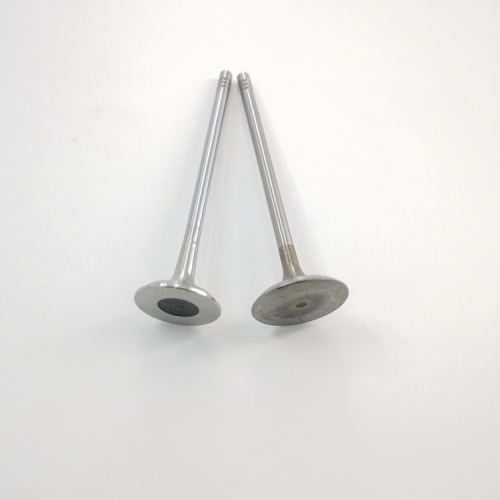 6D102 Engine Intake Valve And Exhaust Valve