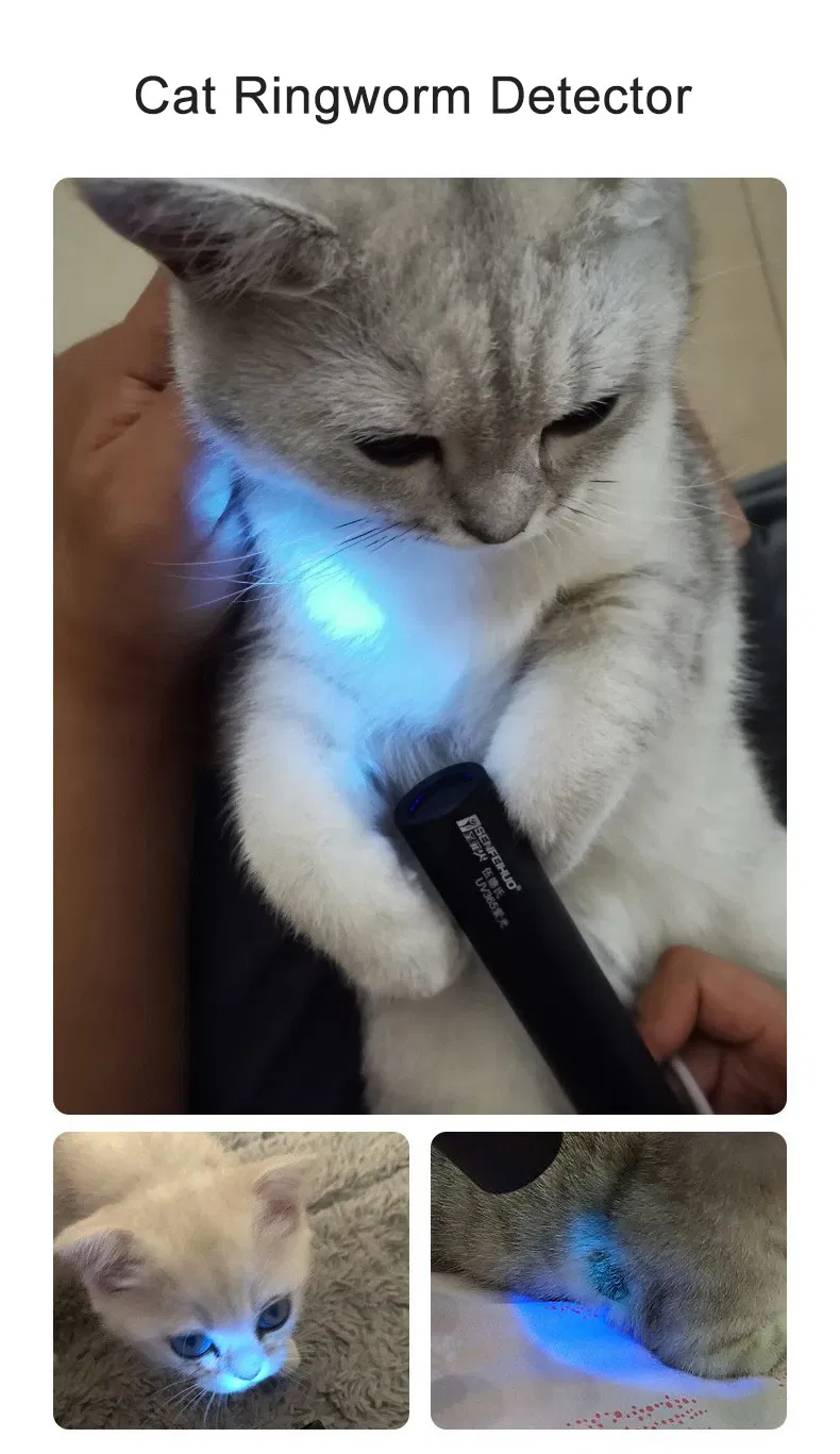 Portable 365nm UV Flashlight with Rechargeable Blacklight and 5 Modes