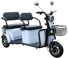 Electric Tricycle and Cargo E-Vehicles