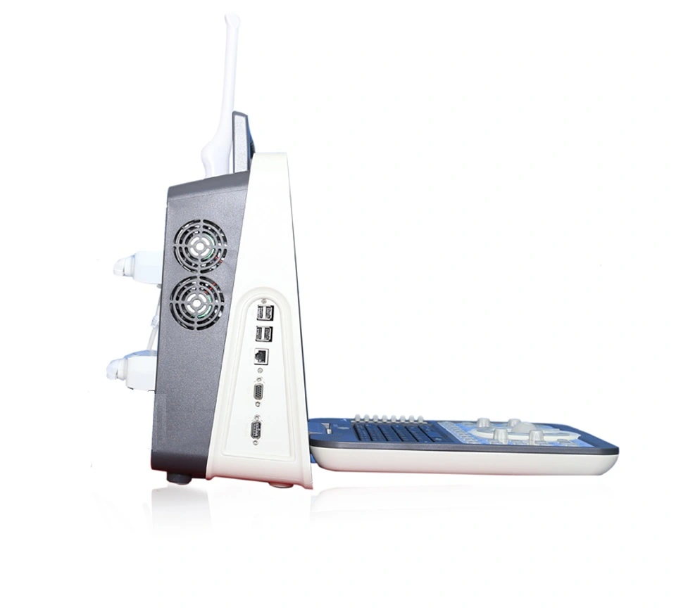 Manufacturer Price Digital B/W Color Veterinary 3D Ultrasound Machine