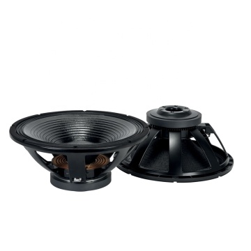 pro audio 21 Inch PA system speaker subwoofer