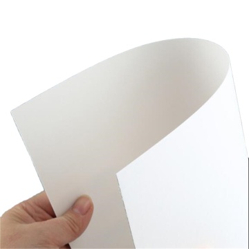 Ningbo Ivory Board White Cardboard FBB Paper Board