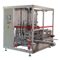 Auto Carton Loading System