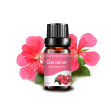 Wholesale 100% natural geranium pure essential oil