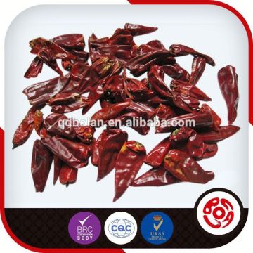 low price indo 5 chilie supplier