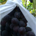 Landbouw Fruit Grape Bag