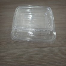 PET Food Fruit Storage Packaging Deli Container